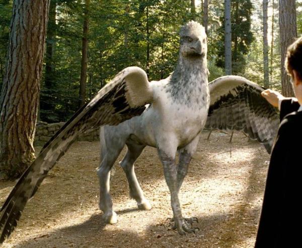 Who is the most influential animal character in Harry Potter?