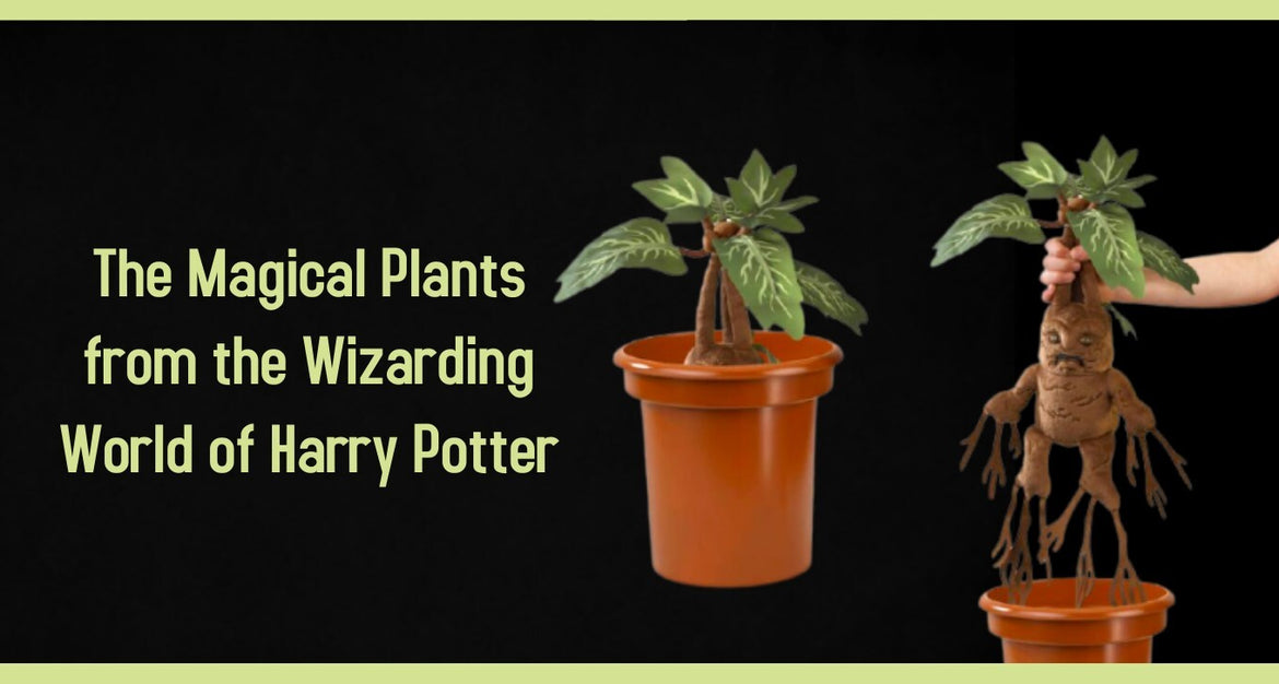 What are some iconic magical plants in Harry Potter?