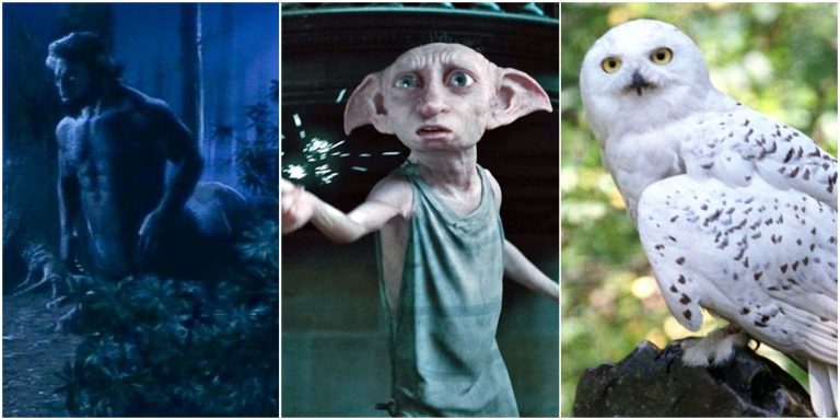 Who Is The Most Powerful Non-human Character In Harry Potter?