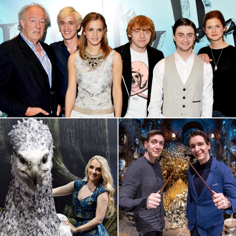 From Hogwarts Heroes To Screen Legends: The Harry Potter Cast