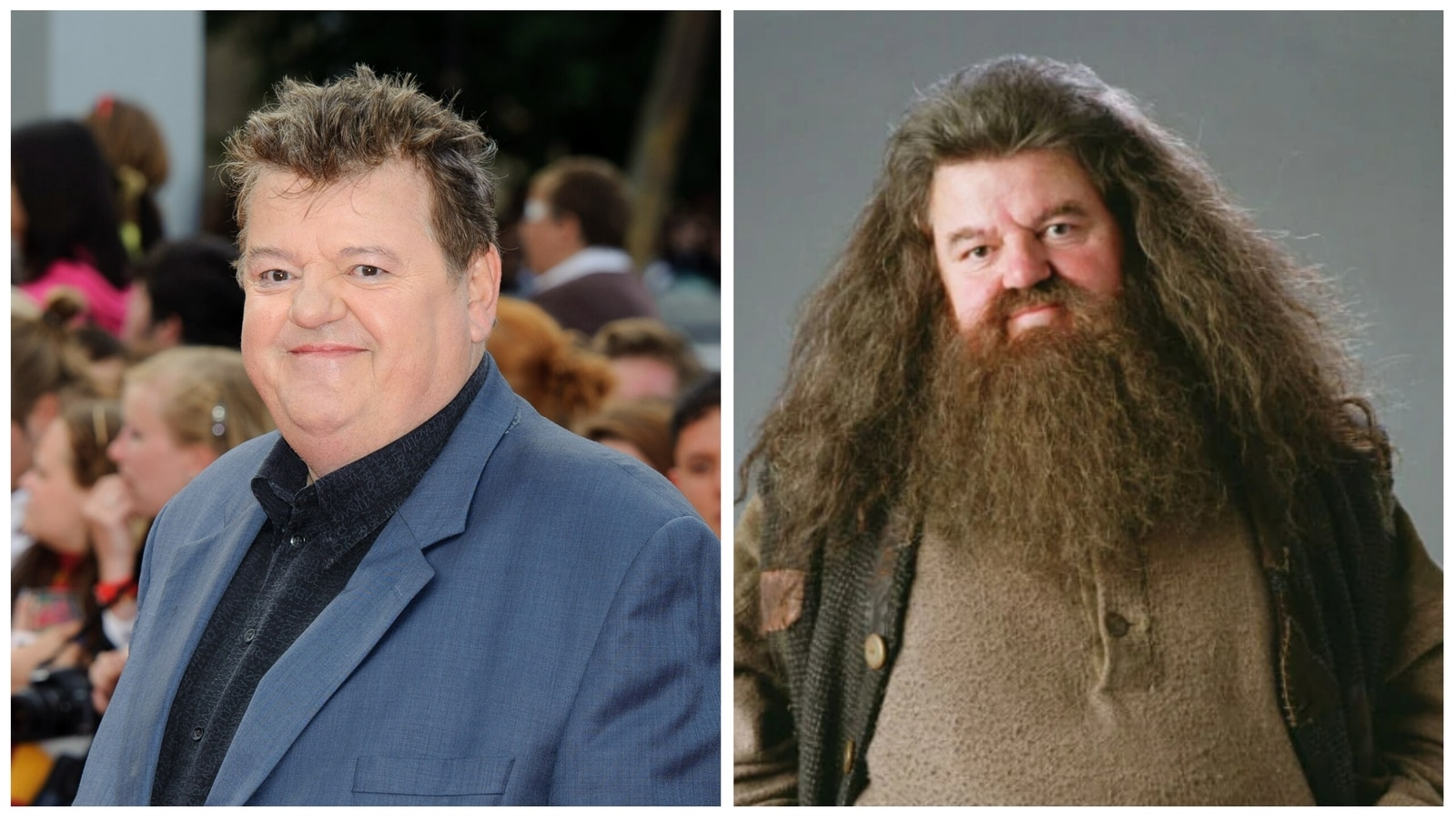 Who Played Rubeus Hagrid In The Harry Potter Franchise?