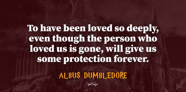 The Power Of Love And Friendship: Harry Potter