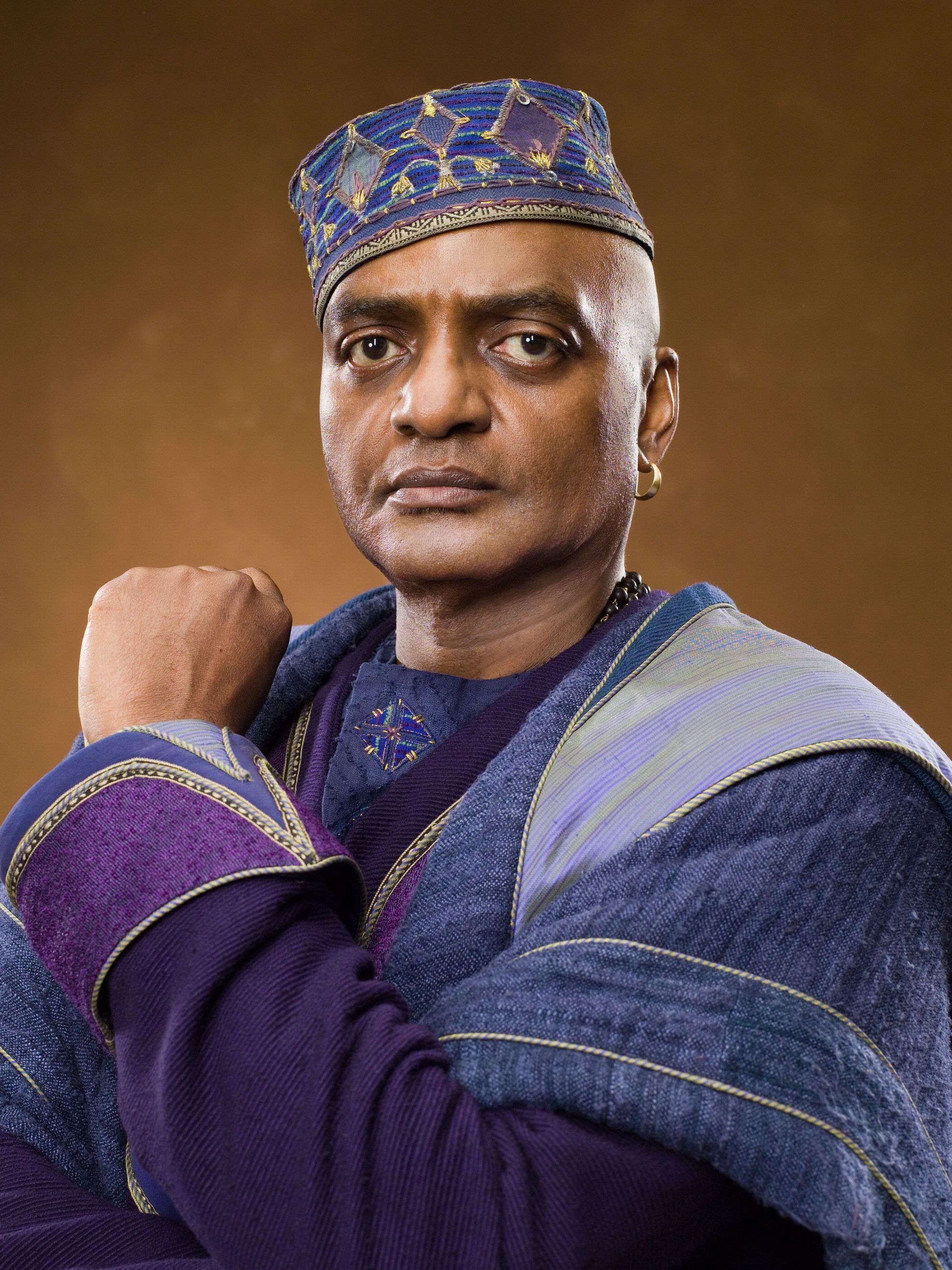 Who Played Kingsley Shacklebolt In The Harry Potter Series?