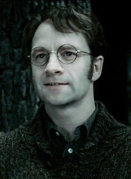 Who played James Potter in the Harry Potter series?